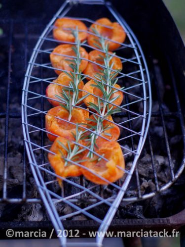 Recettes Au Barbecue De 50 Idees Originales